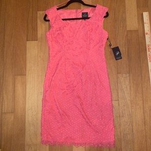 Adrianna Papell Eyelet Shift Dress Coral Sleeveless Size 6
